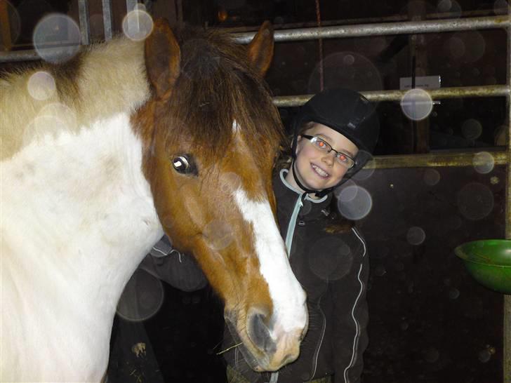Anden særlig race Sprinter - fine lille pons....!<333 billede 12