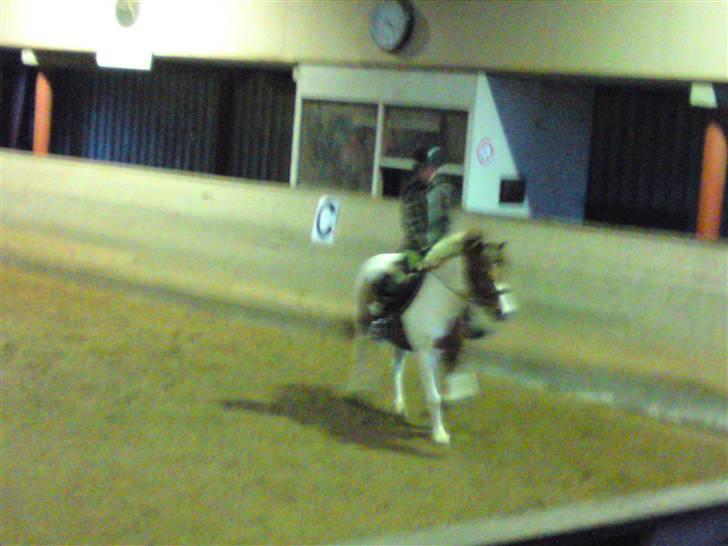 Anden særlig race Sprinter - ridetimen begynder og vi må ind og gå i gang...!<333333 billede 13