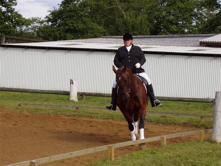 Oldenborg Albert billede 3