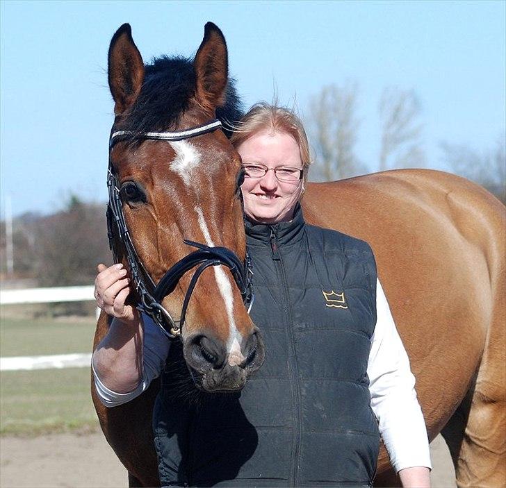 Dansk Varmblod  AB cuba caramel - foto.: Jani Pedersen   marts 2011 billede 1