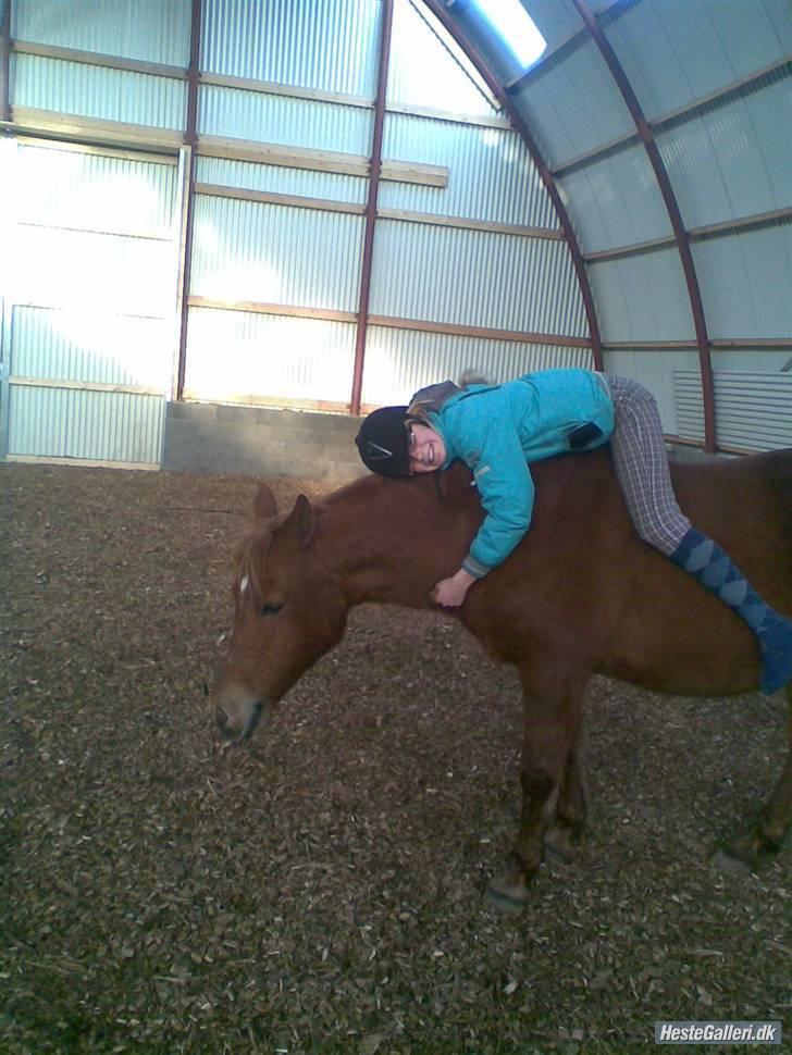 Anden særlig race Lucas<33 (gammel passer) billede 5