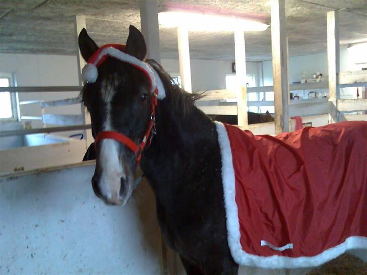 DSP Remember me af sandager - Jule flak<3 billede 2