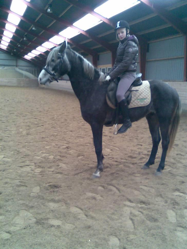 DSP Remember me af sandager - Aller første parade billede 3