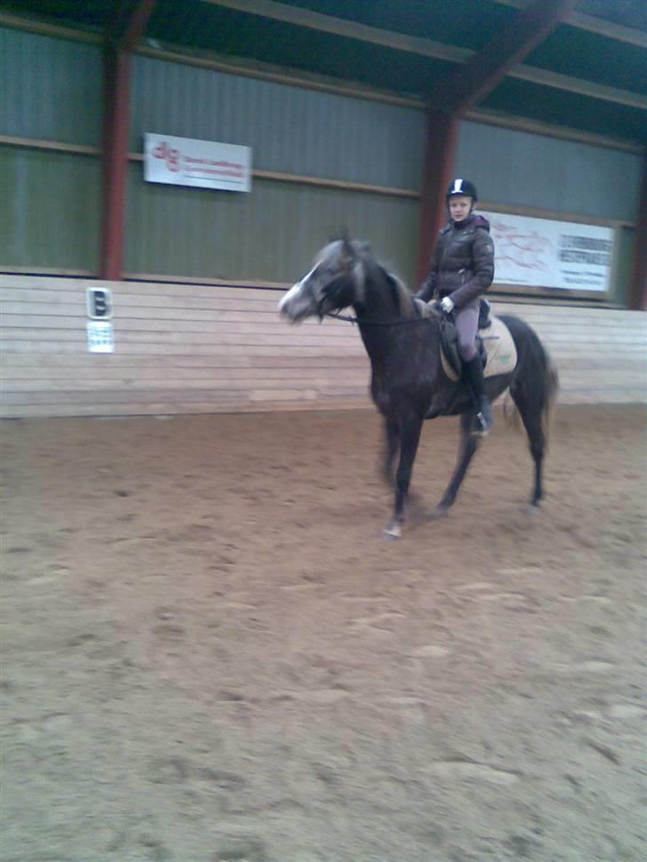 DSP Remember me af sandager - Aller første skridte tur Uden nogen der går ved siden af billede 4