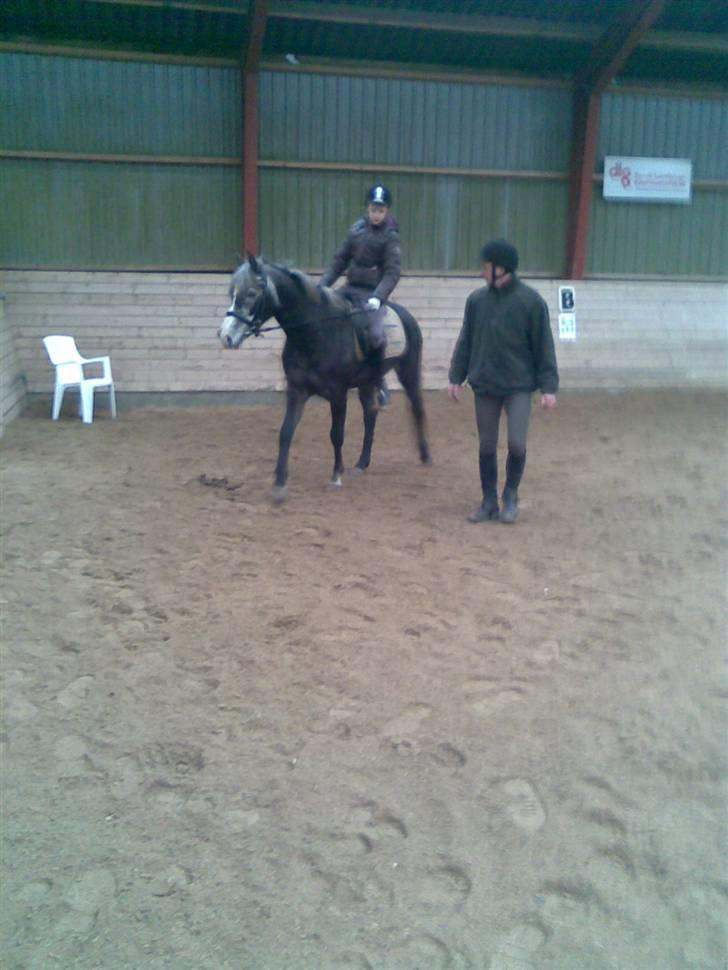 DSP Remember me af sandager billede 5