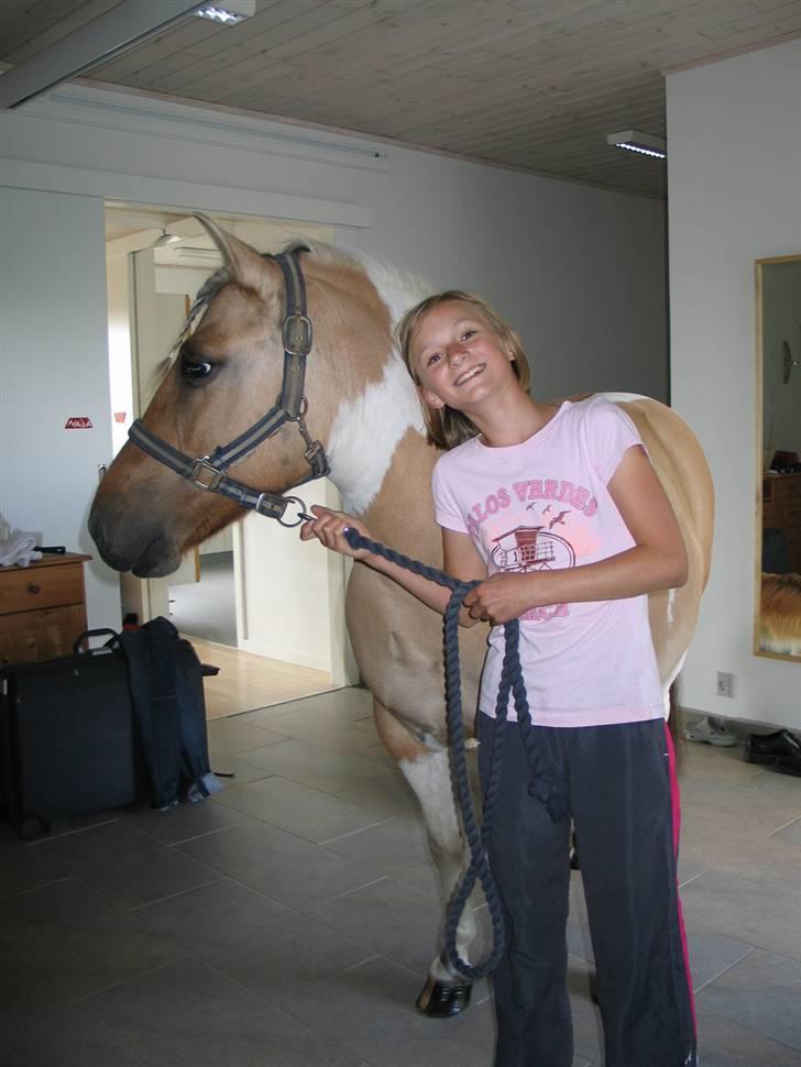 Anden særlig race ••((¯`» Beauty «´¯))•• billede 11