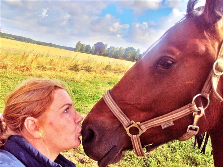 Anden særlig race milan # solgt # - MYYYSSSS billede 15