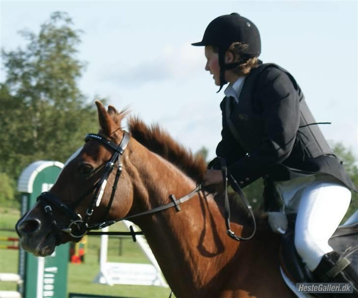 Anden særlig race  C'est la bon R.I.P - koncentreret vending i VIR billede 19