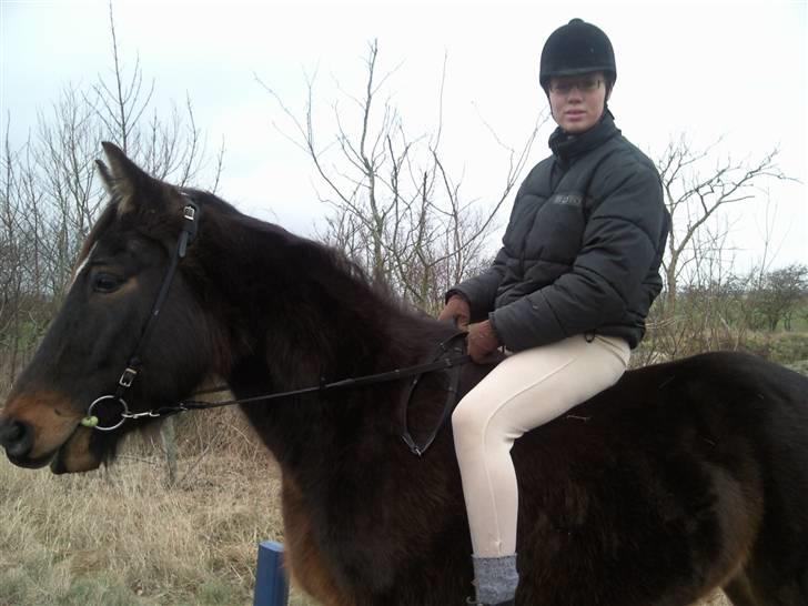 Traver Gucci Boy *SOLGT* billede 14