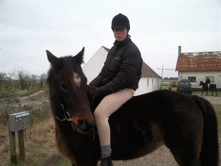 Traver Gucci Boy *SOLGT* billede 15