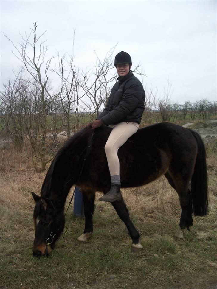 Traver Gucci Boy *SOLGT* billede 16