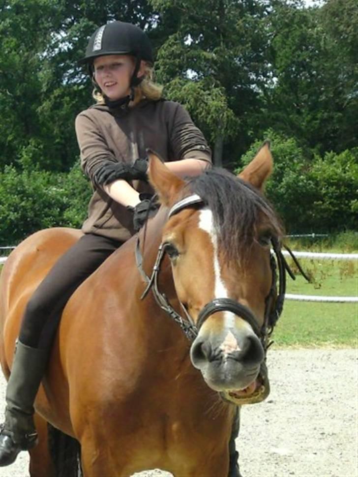 Anden særlig race Torja (Halvpart) - Yndlings billede! ;D <3 billede 11