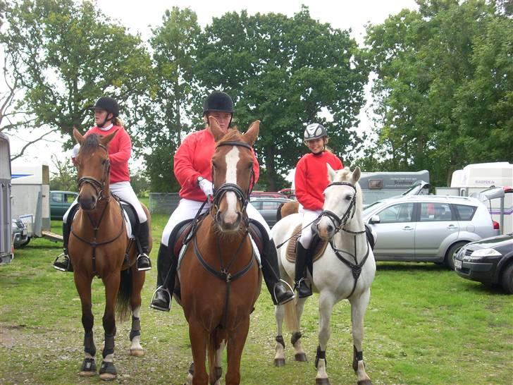 Anden særlig race Bøgestalds Figaro.SOLGT.. - så er stef og nadja og mig klar til action.. billede 12