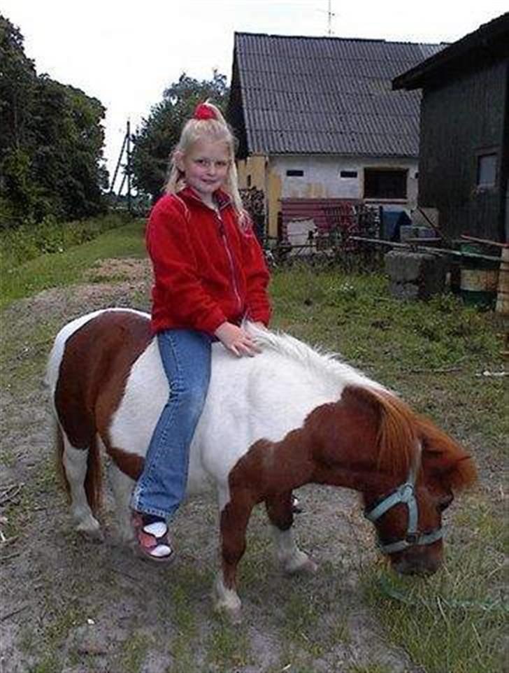 Shetlænder Skovlundegårds Nicolai - mig og nicolai da jeg var lille billede 2