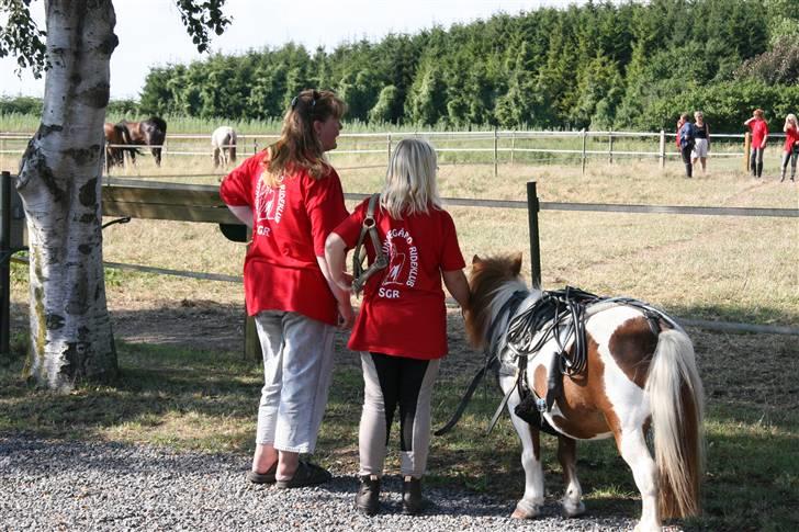 Shetlænder Skovlundegårds Nicolai - nicolai mig og min mor billede 7