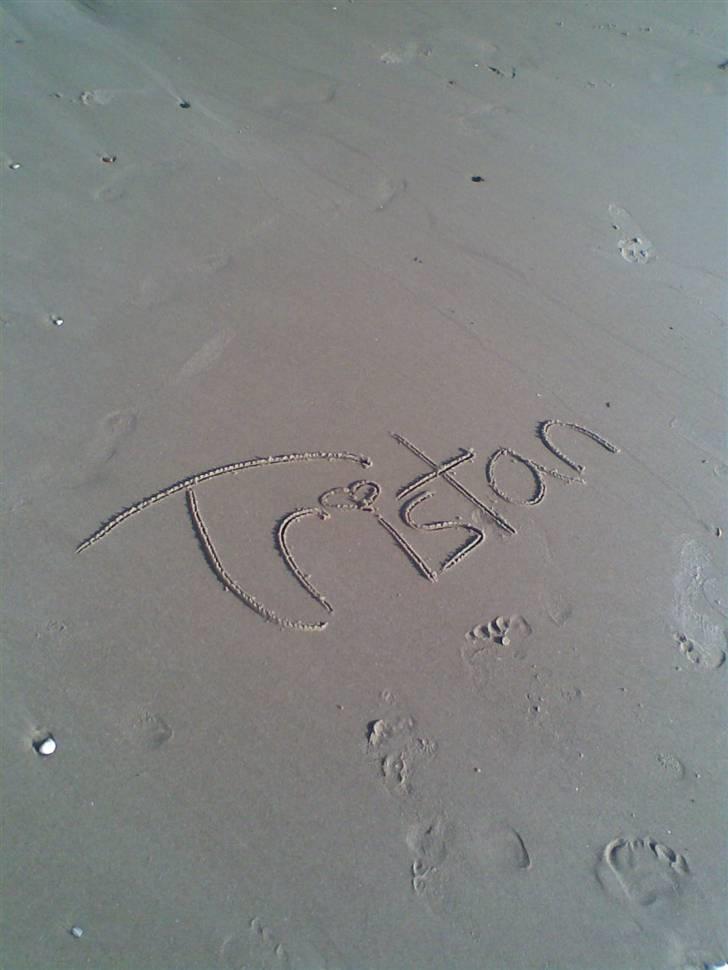 Anden særlig race Tristan R.I.P. - I Løkken Billede: mig billede 3