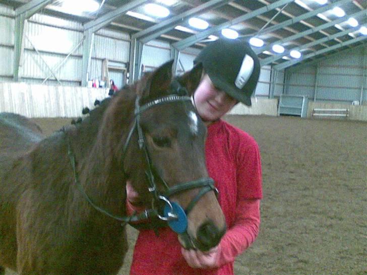 Pinto Amalienborggaards Altivo billede 4