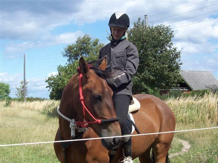 Knabstrupper Bianca - 15# i never know what the future brings, but i know you´re here with me now.. :') Undskyld kvaliteten, men kamaret er dårligt og HG forringer kvaliteten. Foto: Mor 26/7 2009. billede 15