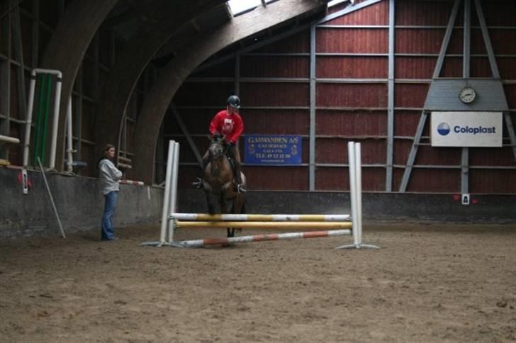 Anden særlig race Gipsy - Tanja & Gipsy billede 12