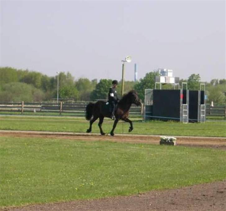 Islænder Omi fra hallisgård - Omi og Mig til bededagsstævne :D billede 2