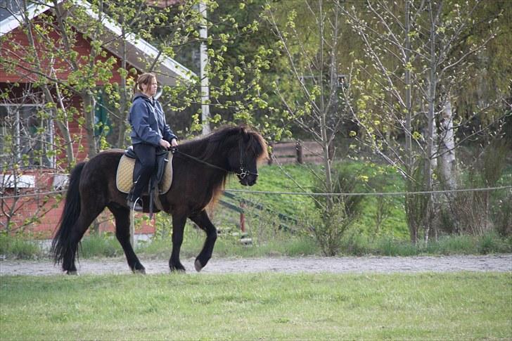 Islænder Omi fra hallisgård - Min søde omi bomi :) billede 3