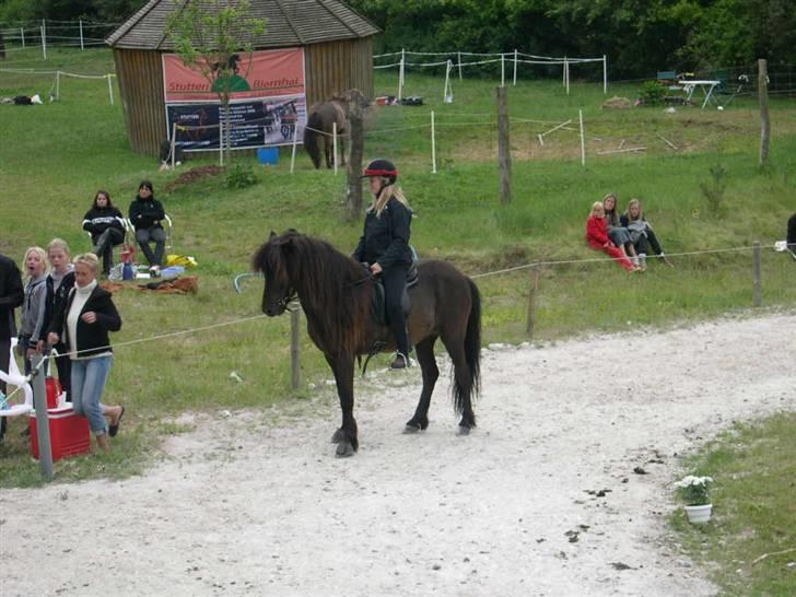 Islænder Omi fra hallisgård - Mig og omi til toppur stævne :) billede 8