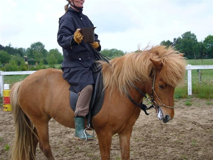 Islænder Fína fra Bøgelykke R.I.P. - Fina til ponygames.... (stadig med min mor) billede 18