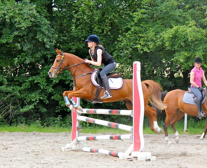 Anden særlig race Ponylands Bolero<3 sov sødt min skat - Elsker dig baby du er for dejlig! <3 Til undervisning d. 23 juni 2010, foto martine.  billede 6