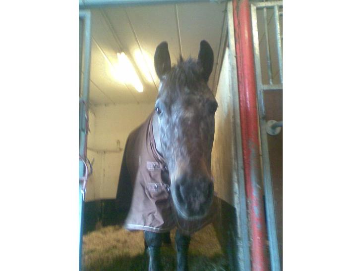 {{currentPhoto.altText}} billede {{currentPhoto.number}}