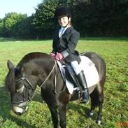 Anden særlig race Norlyk`s Ocean