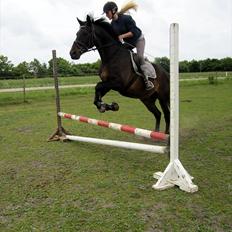 Anden særlig race Conrad <3