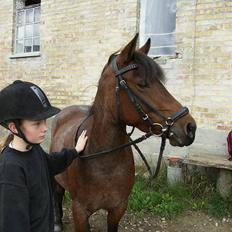 DSP Cirkeline (Sofa)