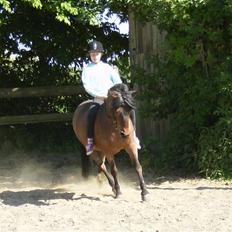 DSP Cirkeline (Sofa)