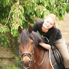 Anden særlig race Bonnie 