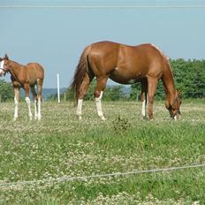 Holstener Jazz Dance
