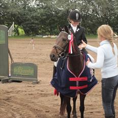 Tysk Sportspony Miss sunshine B pony i dressur