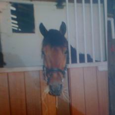 Anden særlig race Thowra [': 