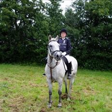 Connemara Frederiksminde Sir Prize