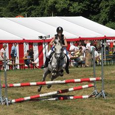 Connemara Frederiksminde Sir Prize