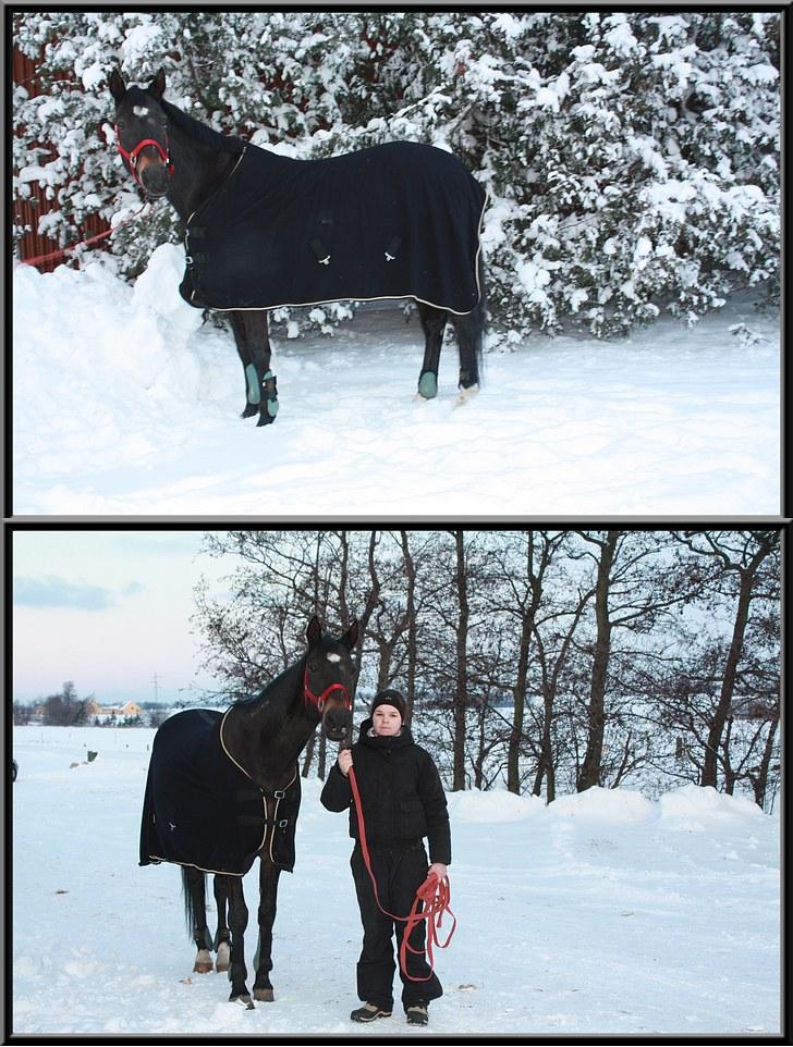 Traver - Spartanens Mulle  - Mulle og jeg. Foto: Maria Willems, 20. december 2009. billede 17