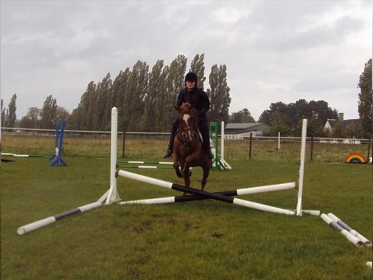 Anden særlig race Kalif (solgt) :'( - Mette(ejer) Springer:) billede 2