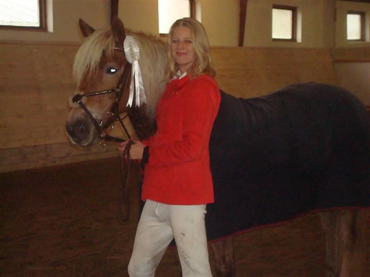 Haflinger Hanibal <´3 ment to be<´3 - Fin hypper..=) billede 6