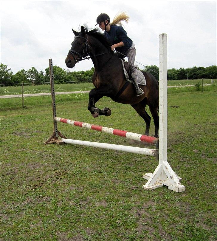 Anden særlig race Conrad <3 billede 1