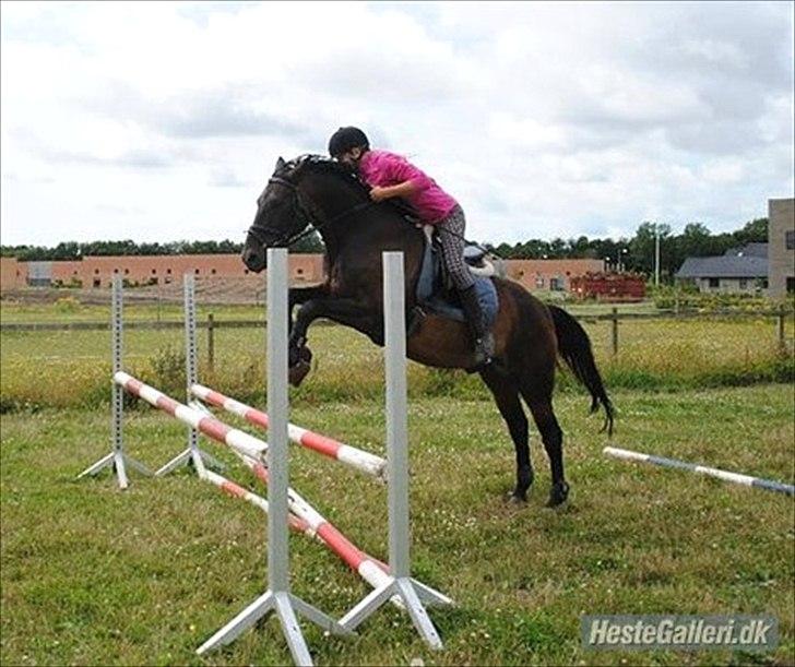 Anden særlig race Conrad <3 billede 8