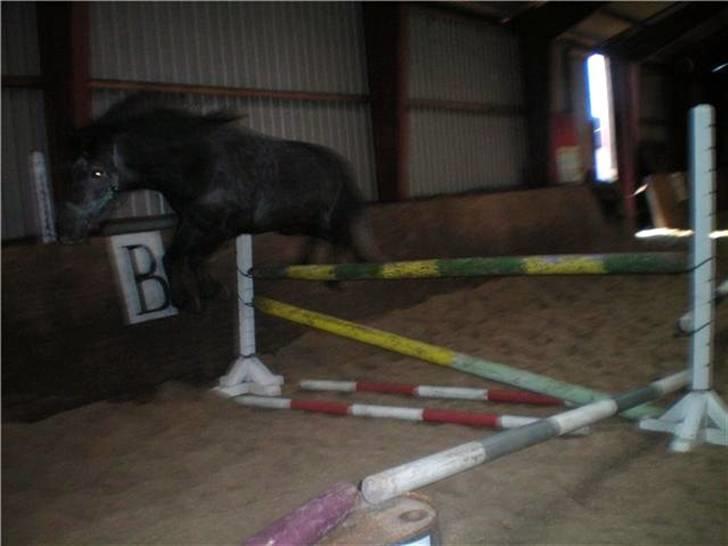 Anden særlig race Macy Grace *solgt* - 90cm. i elevator hop :b La for 2´er pony for hende og hun er kun lige blevet 5! min pony! :D billede 13