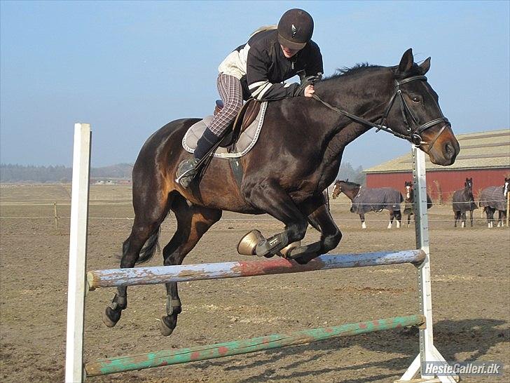 Anden særlig race Conrad <3 - 105 cm :) billede 5