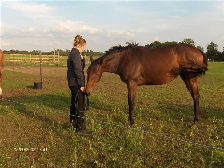 Fuldblod (XX) Siempre billede 4