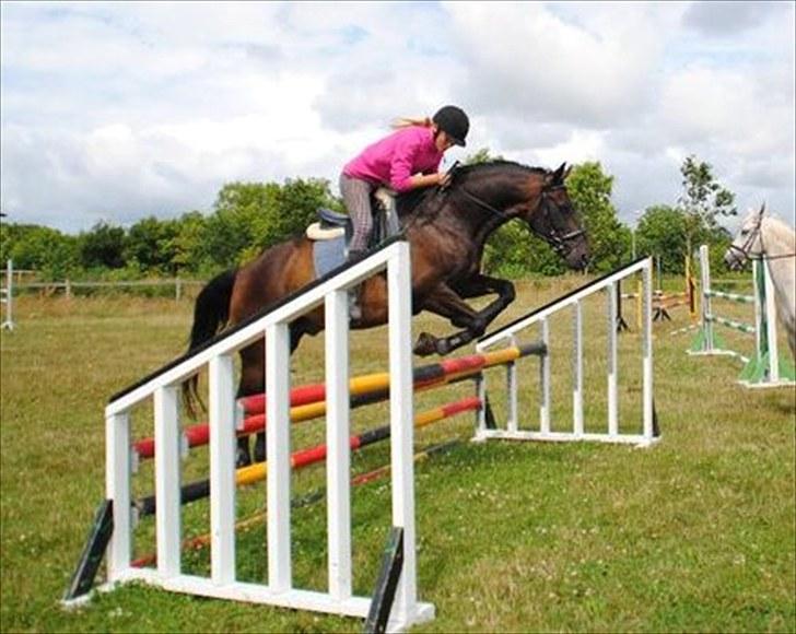 Anden særlig race Conrad <3 billede 17