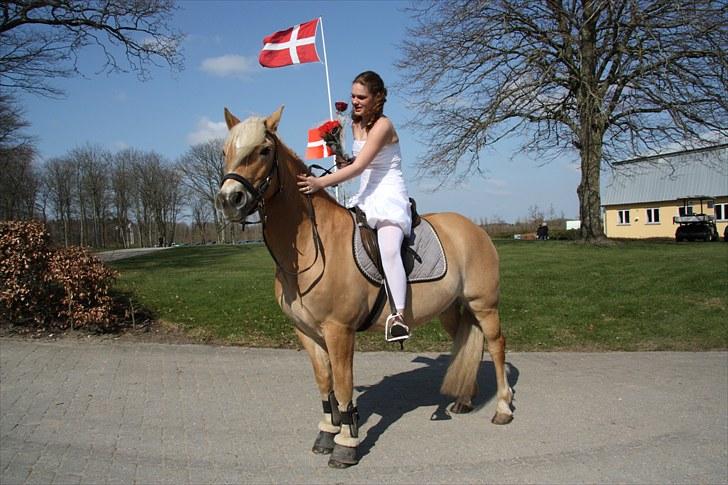 Haflinger santana RH ( Haffe! ) - haffe til min konfi. tak tøser .Dage uden dig er som dage uden håb, men et liv uden dig vil være som et liv uden fremtid billede 6