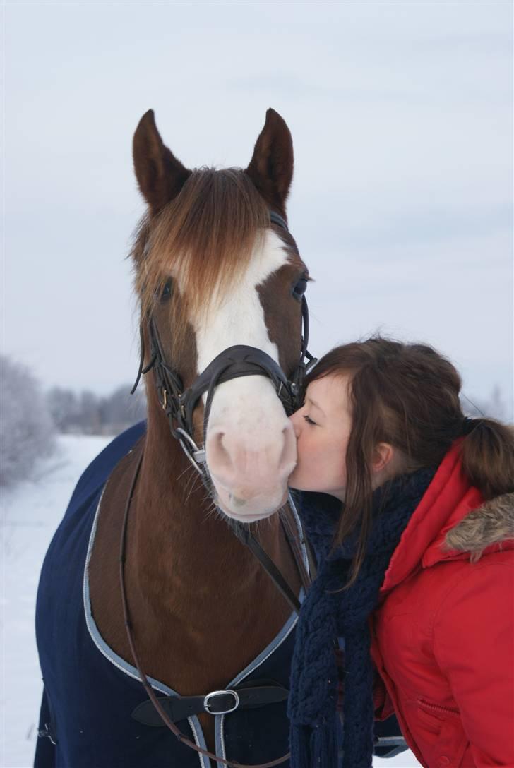 Welsh Partbred (Sec F) Rosengårdens Sodapop SOLGT - 20/12-09 Pop og jeg i sneen. Elsker dig:D<3 Foto: Katrine Andreassen billede 6